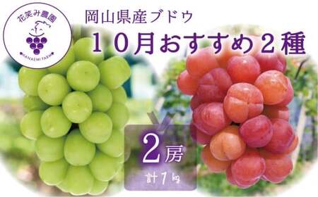 【2026年先行予約】 ぶどう 岡山 花笑み農園のぶどう【10月おすすめ 2種セット】1kg（2房） 真庭市【hana020-02】