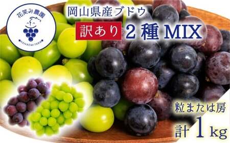 【2026年先行予約】 訳あり 花笑み農園の ぶどうおまかせ2種 （計1kg分お届け！） 岡山 【hana049-02】