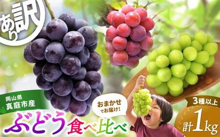 【訳あり】 シャインマスカット 岡山県産ぶどう詰め合わせ 訳ありシャインマスカット入り食べ比べおまかせ3種以上（約１kg） 【hana018-02】