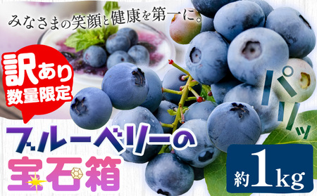 訳あり 数量限定 ブルーベリー 1kg ブルーベリー