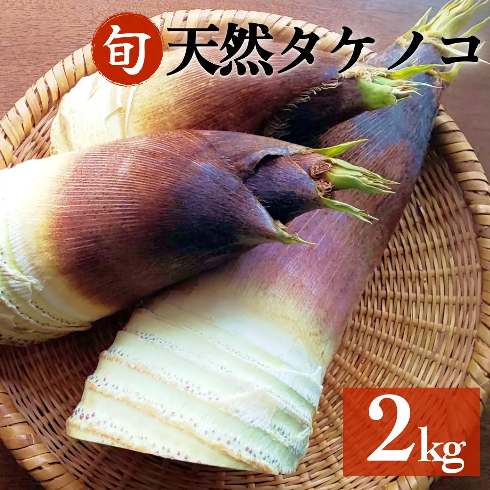  天然タケノコ 2kg 朝掘り 採れたて筍発送 富山県産 ＜農薬・化学肥料・除草剤不使用＞