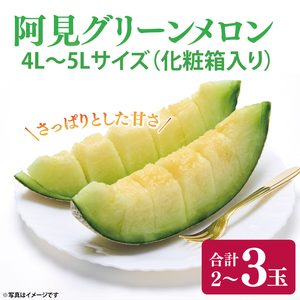 【先行予約】メロン 4L～5L 2～3玉 約5.5kg ｜阿見グリーンメロン 茨城県 化粧箱入り 贈答 自分用 数量 限定 希少 品種（04-29）
