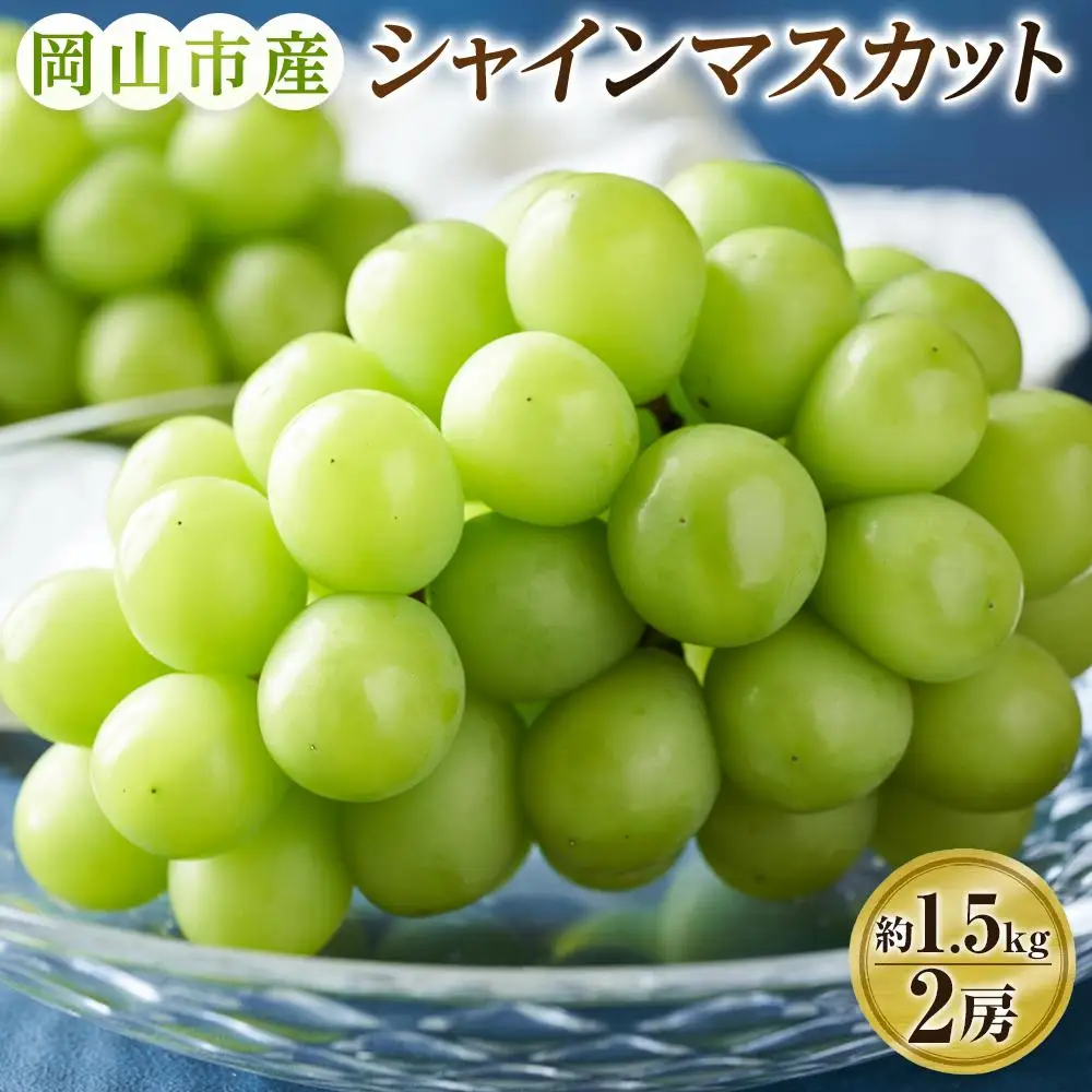 ぶどう 2026年 シャインマスカット 2房（約1.5kg） 葡萄 岡山市 産  フルーツ 果物 ギフト タンポポ農園 | シャインマスカット
