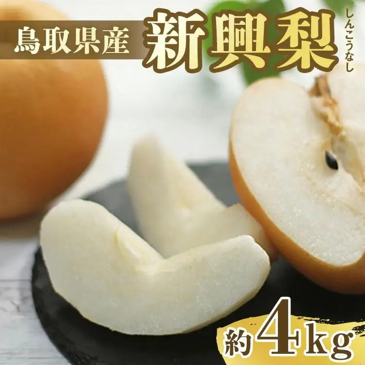 【先行予約】新興梨 秀 約4Kg（4～16玉前後） ※10月～11月下旬頃に順次発送予定  梨
