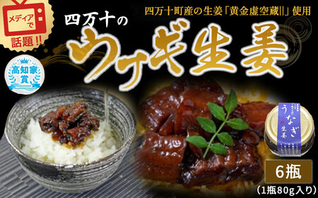 四万十うなぎ生姜6瓶セット ご飯のお供 鰻 ショウガ しょうが 肴 おかず 四万十鰻 瓶詰 おすすめ 人気 国産 厳選 ／Ess-15