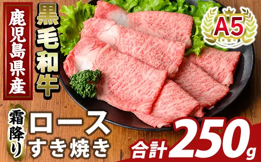 K-480-A 鹿児島県産A5等級黒毛和牛霜降りロースすき焼き(計250g) 【ふるさと産直バザール】霧島市 牛肉 国産 鹿児島県産 ロース スライス 肉 精肉 