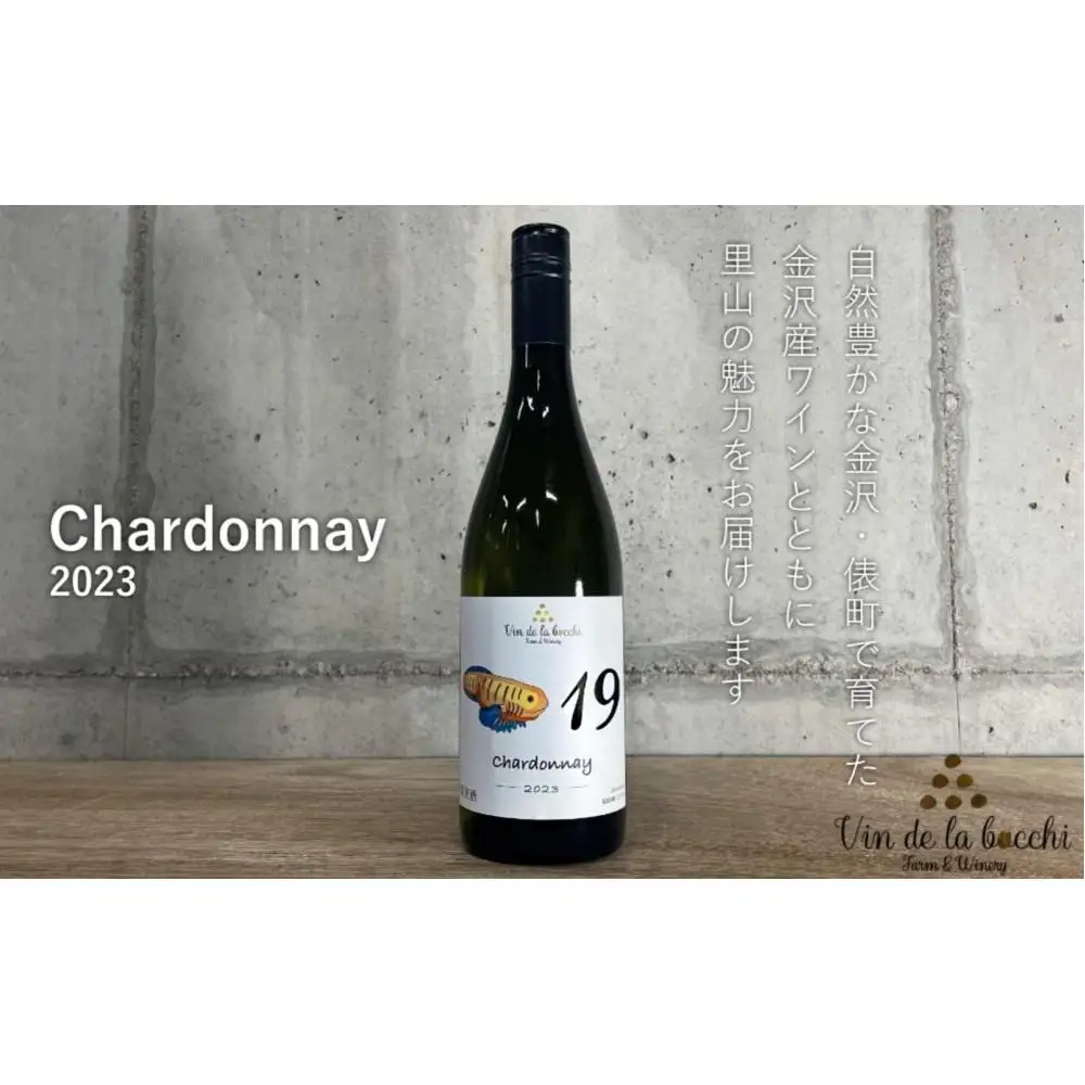No.19　Chardonnay 2023（シャルドネ）750ml×1本　ワイン 白ワイン