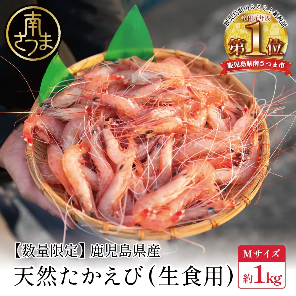 【数量限定】鹿児島県産 天然たかえび（生食用） 約1kg ［Mサイズ］ 薩摩甘エビ ヒゲナガエビ 刺身 海鮮 海老 海鮮丼 塩焼き 冷凍 丸航丸 南さつま市 野間池