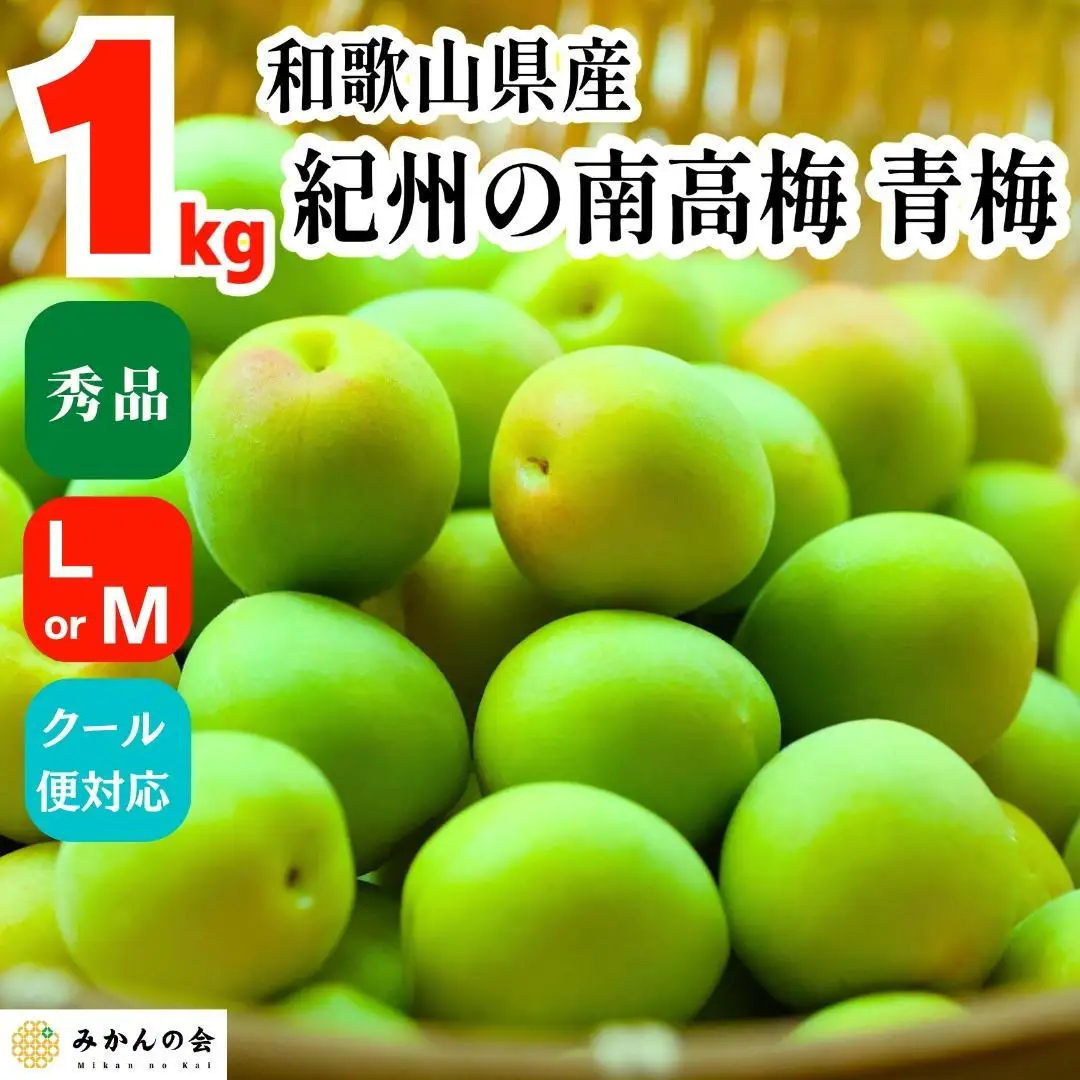 青梅 南高梅 約1kg 秀品 LまたはMサイズ 和歌山県産 A品 梅酒作り用 梅ジュース作り用