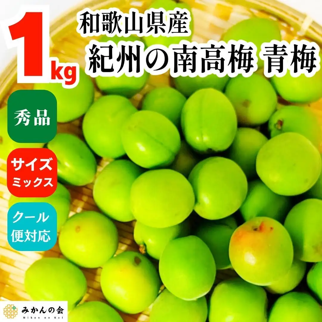 青梅 南高梅 約1kg 秀品 サイズミックス  和歌山県産 A品 梅酒作り用 梅ジュース作り用