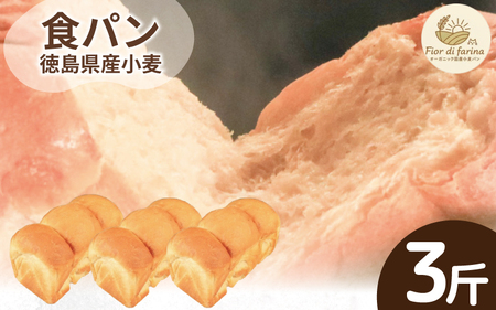 食パン 3斤 パン 天然酵母 国産 小麦  【 食パン 】