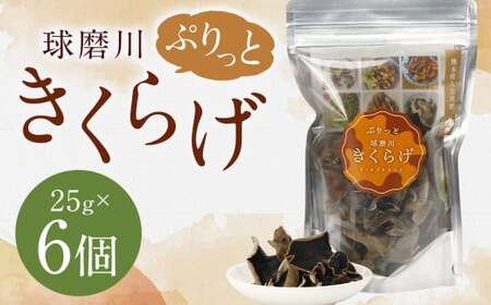 新発売！人吉球磨産の『ぷりっと球磨川きくらげ』25g×6ヶセット きくらげ キクラゲ 木耳 乾燥きくらげ 国産