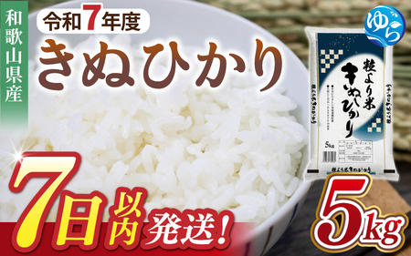 【7日以内発送】きぬひかり5kg ※お届け日指定不可※ 【jahd008A】
