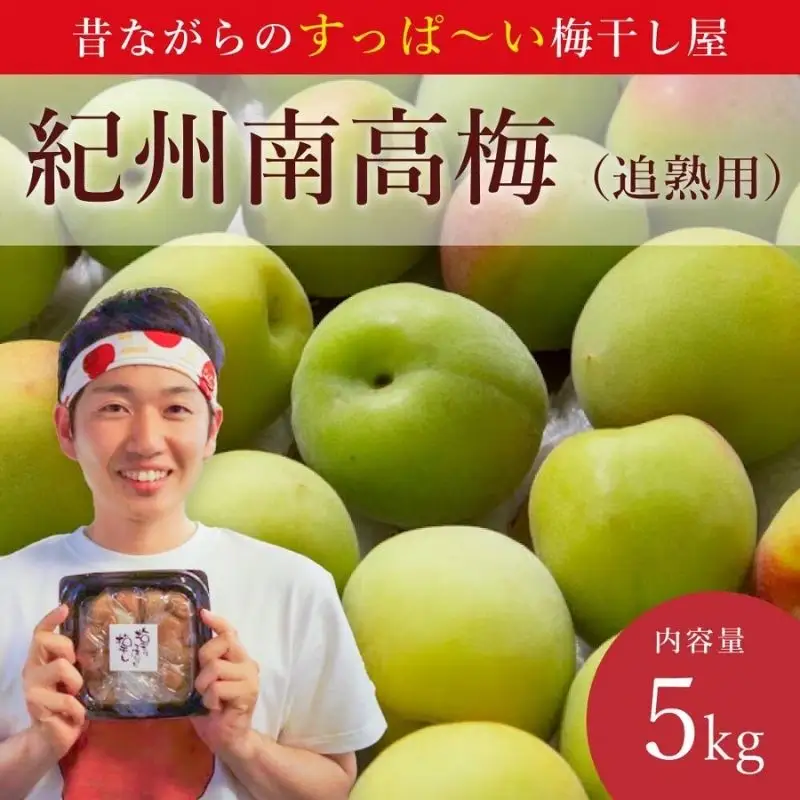 ［先行予約］樹上南高梅の青梅 2L 約5kg 追熟用 梅ボーイズ 紀州南高梅 5月下旬～6月下旬頃に順次発送予定 【umehkr013A】