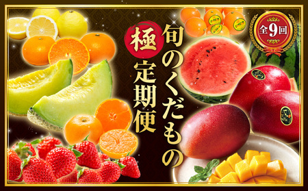 【数量限定】旬のくだもの【極】定期便【全9回】 きんかん たまたま いちご 苺 イチゴ せとか マンゴー 太陽のタマゴ スイカ メロン 温州みかん  日向夏 完熟 種なしフルーツ 果物 定期便