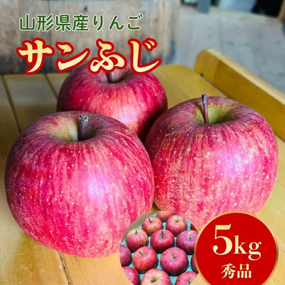 りんご（サンふじ）５ｋｇ　１２～２０個　秀品　0065-2611