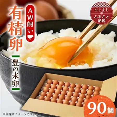 大分生まれのAW飼い有精卵「豊の米卵」90個入り_卵・乳製品 卵  たまご タマゴ 玉子_【配送不可地域：離島】【1610935】