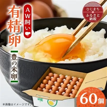 大分生まれのAW飼い有精卵「豊の米卵」60個入り_卵・乳製品 卵  たまご タマゴ 玉子_【配送不可地域：離島】【1610936】