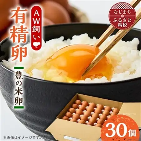 大分生まれのAW飼い有精卵「豊の米卵」30個入り_卵・乳製品 卵  たまご タマゴ 玉子_【配送不可地域：離島】【1610938】