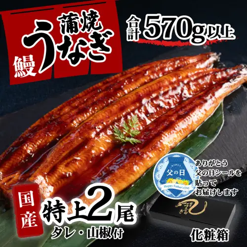 うなぎ 国産 特上 ウなぎ 蒲焼き 2尾 570g以上 ウナギ 化粧箱 父の日