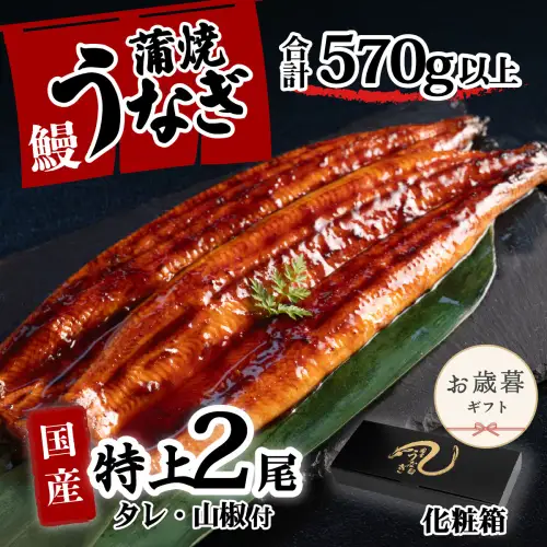 うなぎ 国産 特上 ウなぎ 蒲焼き 2尾 570g以上 ウナギ 化粧箱 お歳暮