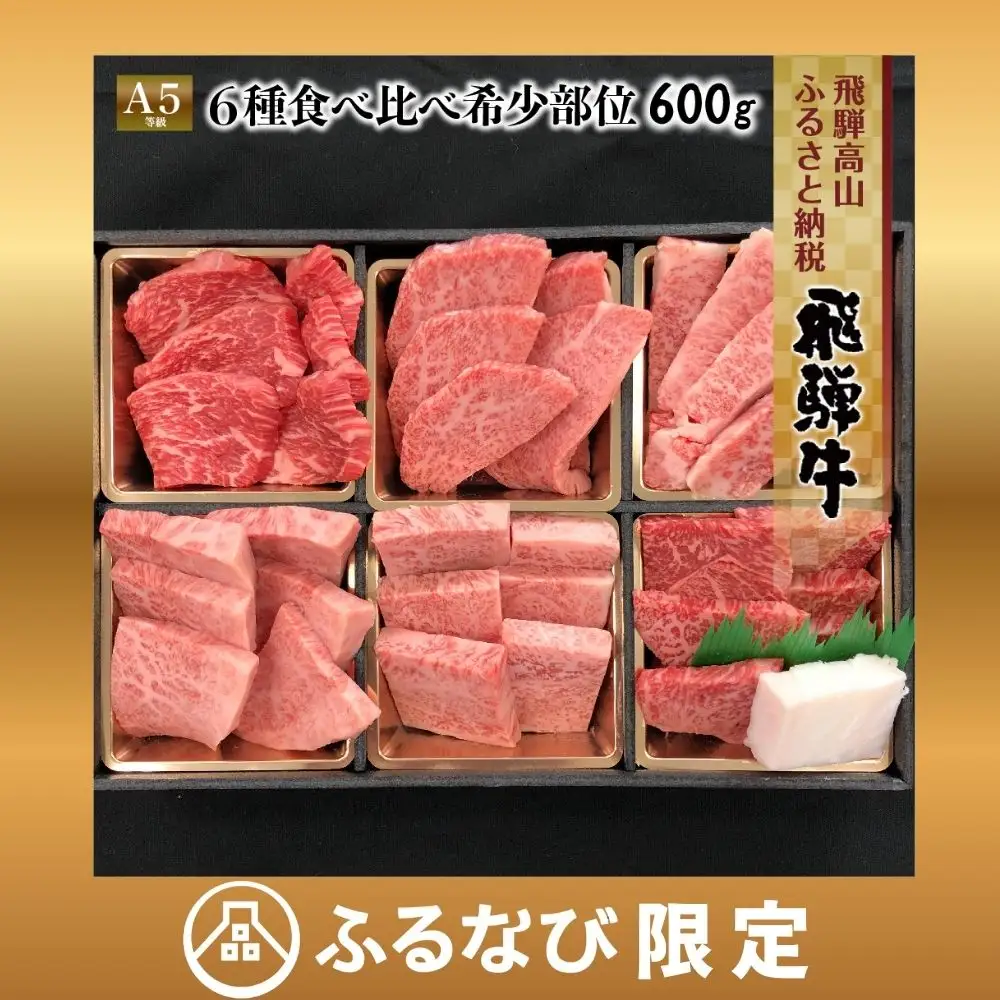 飛騨牛 焼肉 6種食べ比べ (100g×6）焼肉|牛肉 FH017-CP01 FN-Limited-PR