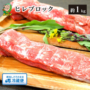 延岡よっとん ヒレブロック1kg N003-YB128