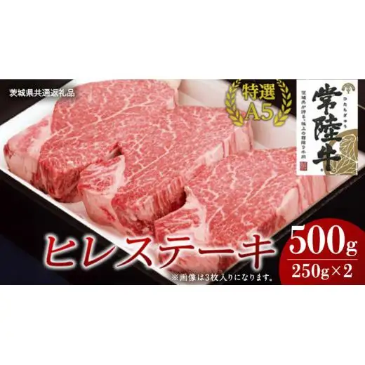 【常陸牛特選A5】ヒレステーキ 250g×2枚 (500g) ( 茨城県共通返礼品 )