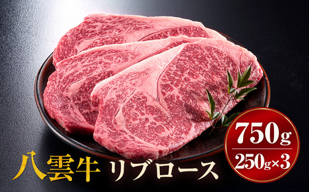 八雲牛 リブロース 750g (250g×3パック) ※沖縄・離島への配送不可