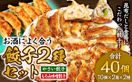【食感と昆布だしにこだわり】 お酒によく合う餃子2種セット 40個(野菜餃子1箱 10個入り×2箱・もろみ味噌餃子1箱 10個入り×2箱)  ※沖縄・離島への配送不可