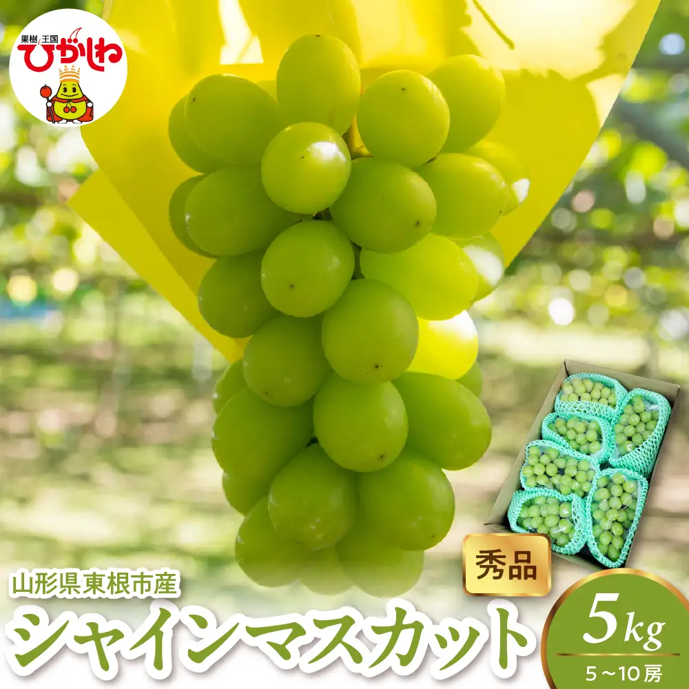 2026年産 シャインマスカット 5kg 5-10房 秀品 ぶどう