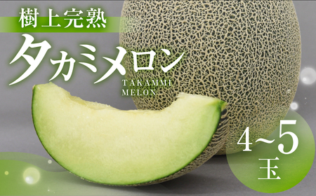 【先行予約】青木さんちのタカミメロン 4玉～5玉 メロン