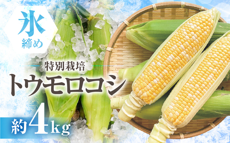 【先行予約】寺田さんちのとうもろこし バイカラー 10本～12本 約4kg とうもろこし
