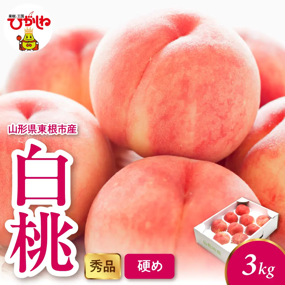 2026年産 白桃 (硬め) 3kg 秀品 桃 白桃 もも