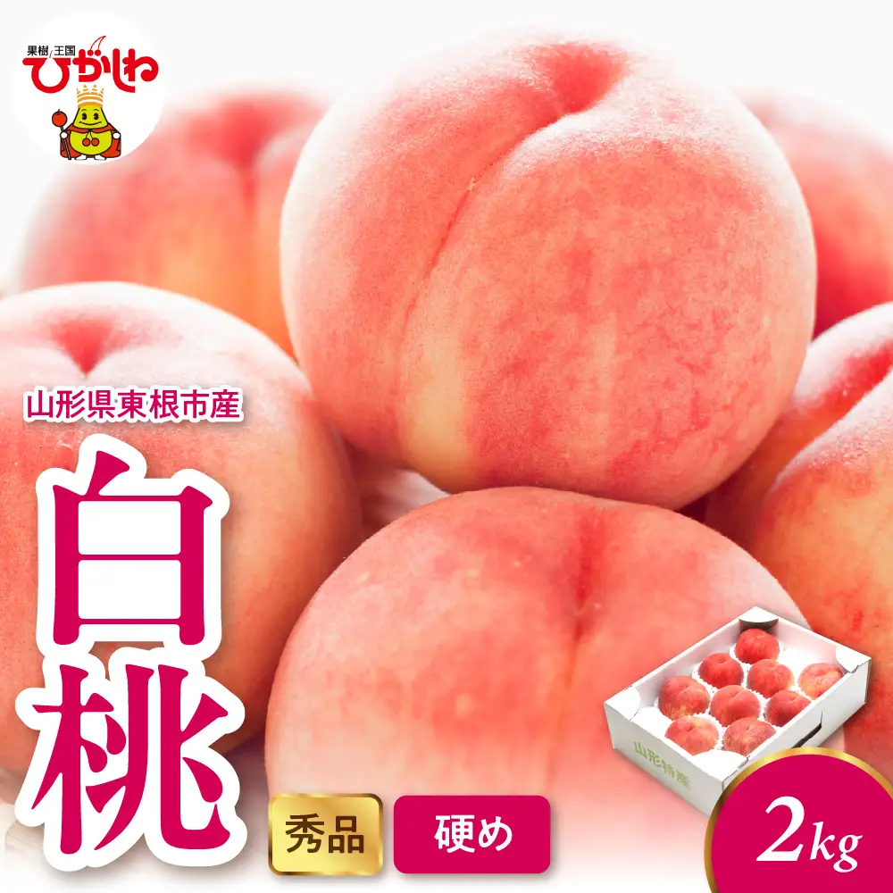 2026年産 白桃 (硬め) 2kg 秀品 桃 白桃 もも