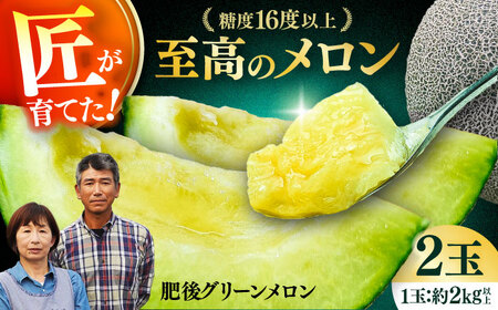 【先行予約】  山鹿の恵み! 匠の育てた　肥後グリーン メロン 約4kg以上（約2kg以上×2玉）【きもと農園】[ZFQ001]