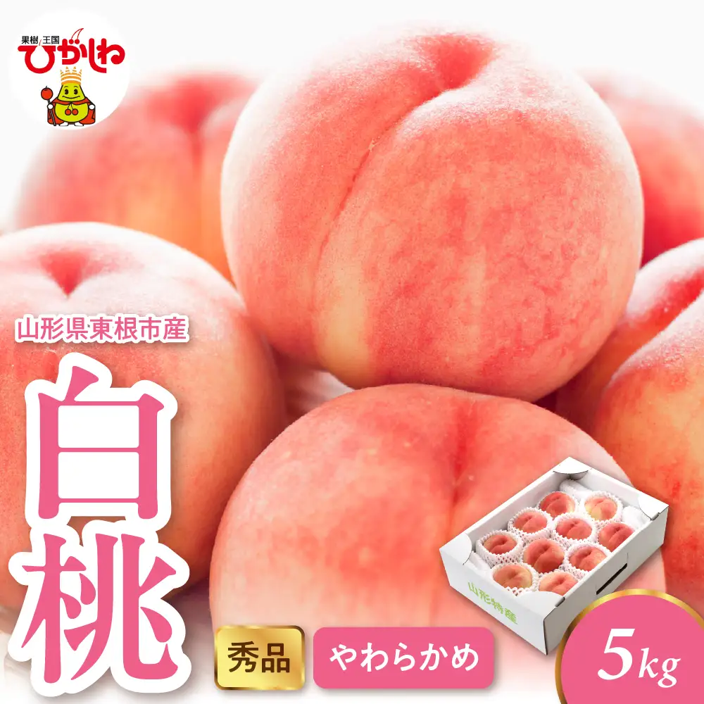 2026年産 白桃 柔らかめ 5kg 秀品 白桃