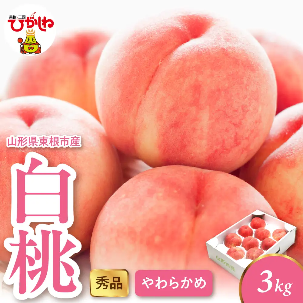 2026年産 白桃 柔らかめ 3kg 秀品 白桃