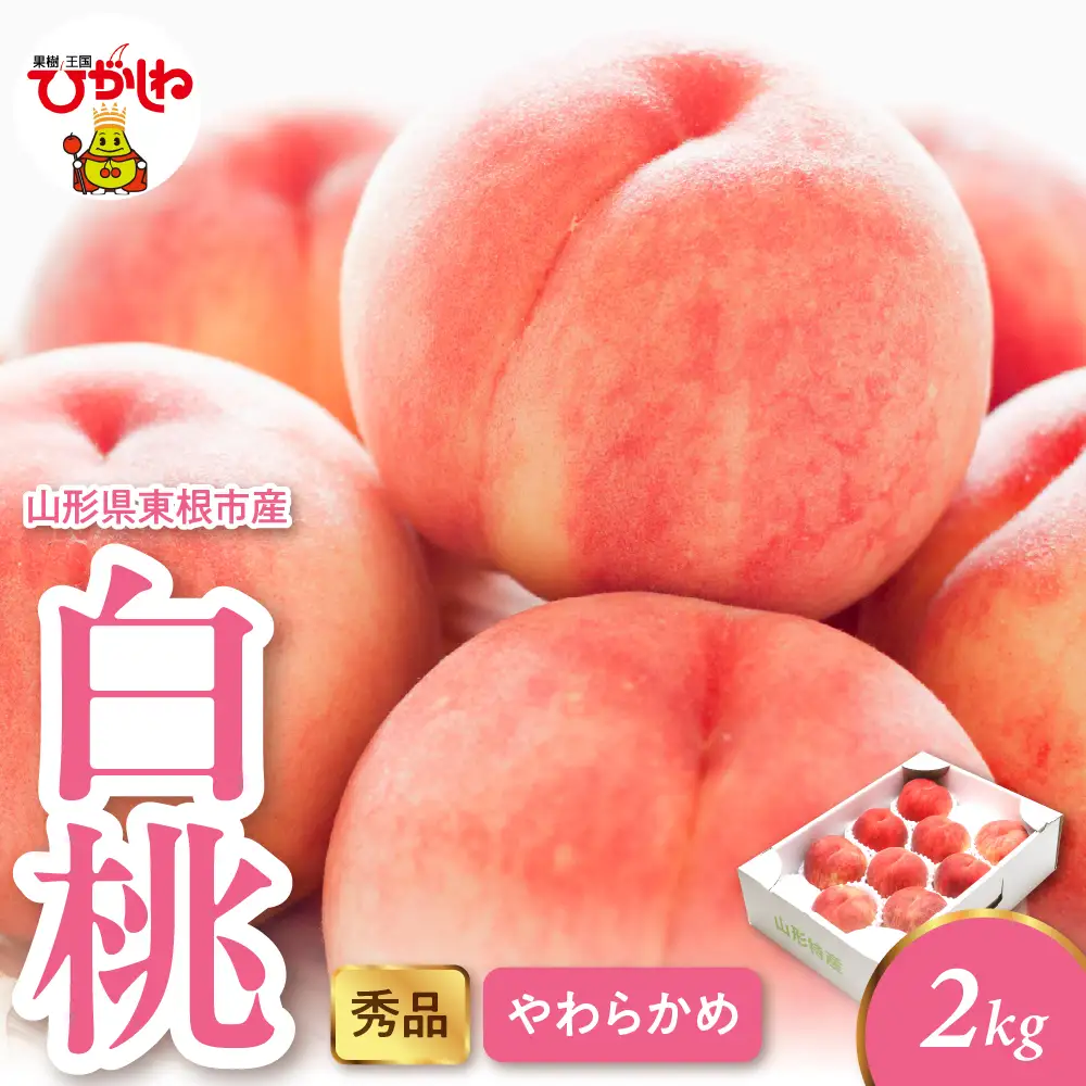 2026年産 白桃 柔らかめ 2kg 秀品 白桃