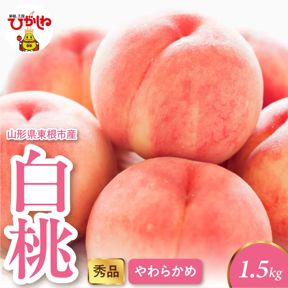 2026年産 白桃 柔らかめ 1.5kg 秀品 白桃