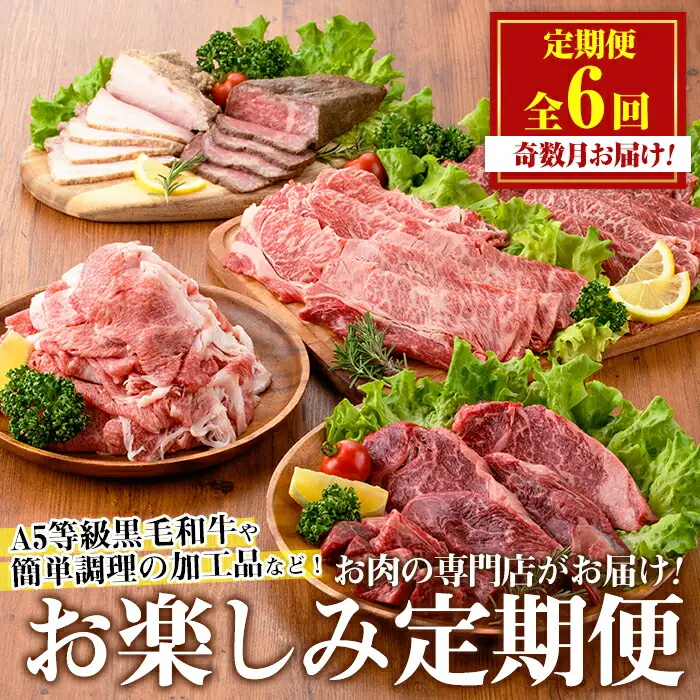 No.1246 ＜定期便・全6回(奇数月)＞お楽しみ！大人気の返礼品定期便 お試しコース(総重量5kg以上・ステーキ、霜降り焼肉、ローストビーフ等) 牛肉 黒毛和牛 和牛 ステーキ すき焼き しゃぶしゃぶ 焼肉 BBQ キャンプ 定期便 頒布会 A5 冷凍 ギフト 贈答【カミチク】