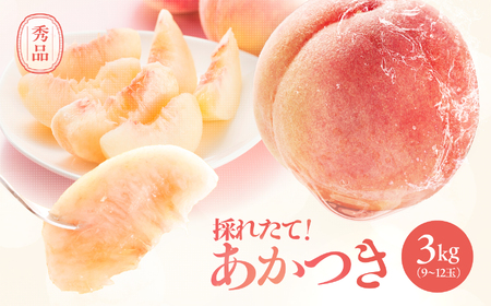 長野県産 桃 あかつき 秀品 約3kg〈2026年7月中旬～8月中旬発送〉| 長野県 飯田市