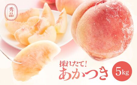 長野県産 桃 あかつき 秀品 約5kg〈2026年7月中旬～8月中旬発送〉| 長野県 飯田市