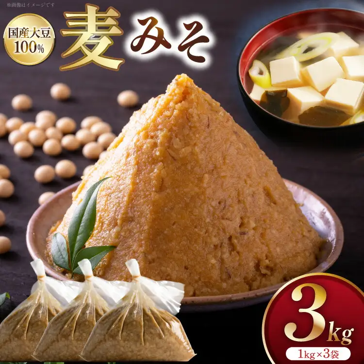 味噌 麦みそ 1kg 3袋 計3kg [大渡商店 長崎県 東彼杵町 hs42bag590004]