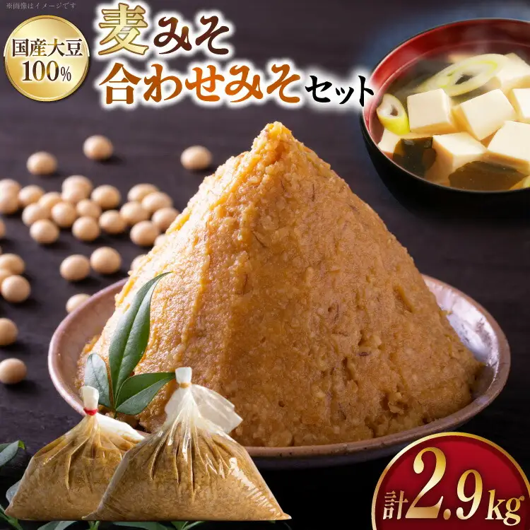 味噌 麦みそ 2kg 合わせみそ 900g [大渡商店 長崎県 東彼杵町 hs42bag590006]
