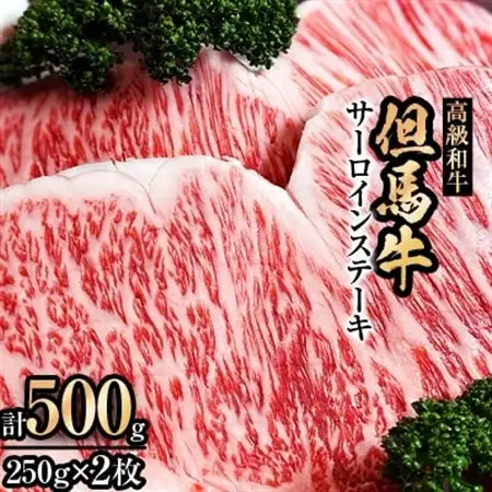 但馬牛サーロインステーキ2枚入り【250g×2】【配送不可地域：離島】【1098414】