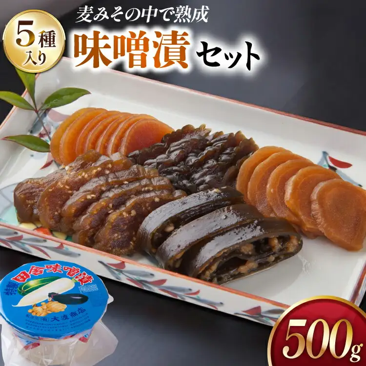 味噌漬け 詰め合わせ 田舎味噌漬け 5種 500g [大渡商店 長崎県 東彼杵町 hs42bag590009]