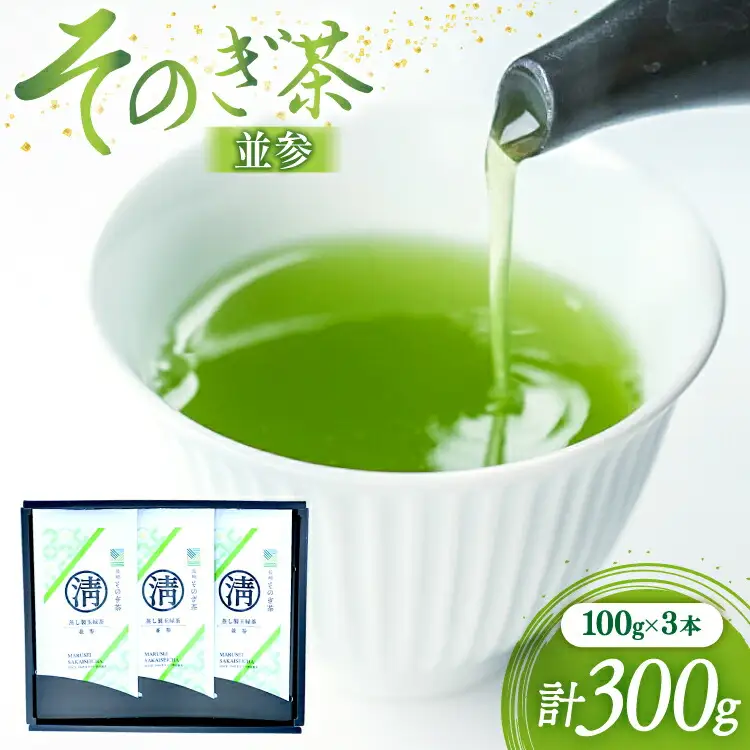 茶 緑茶 そのぎ茶 (並参) 100g 3袋入り 総計300g [まるせい酒井製茶 長崎県 東彼杵町 hs42bag370004]