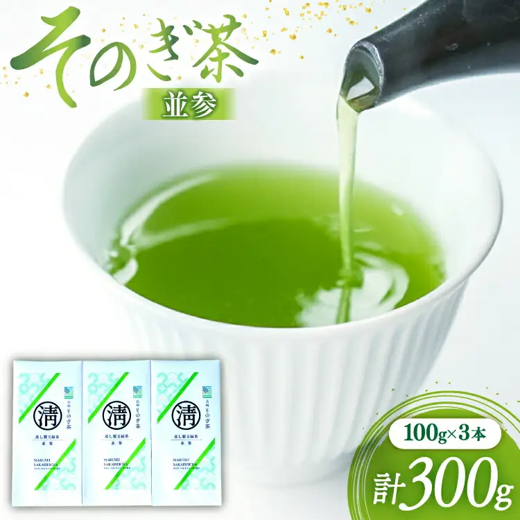 茶 緑茶 そのぎ茶（並参）100g 3袋 総計300g [まるせい酒井製茶 長崎県 東彼杵町 hs42bag370015]