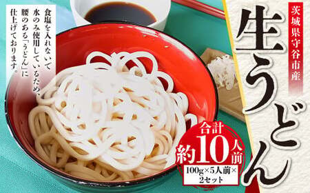 生うどん 100g×5人前×2セット 